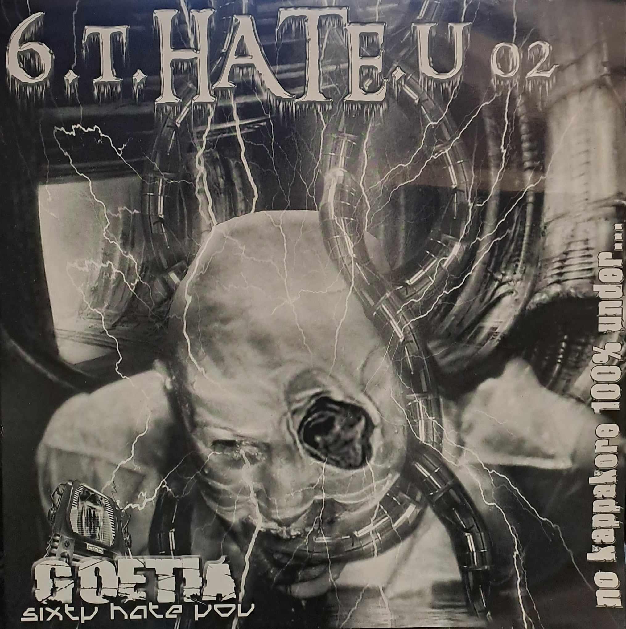6.T.Hate.U 02 - vinyle hardcore
